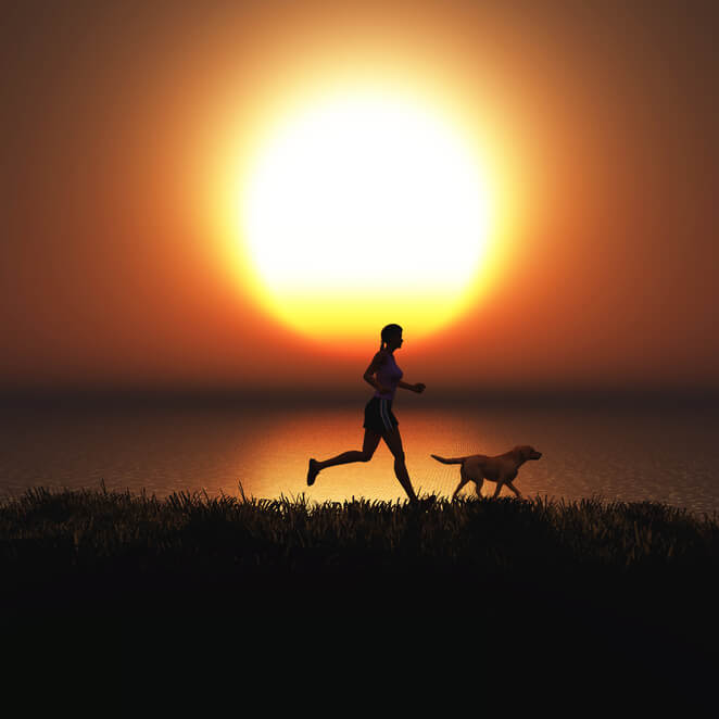 FMOH Vitamin K 2 How Vitamin K 2 Supports Heart Health