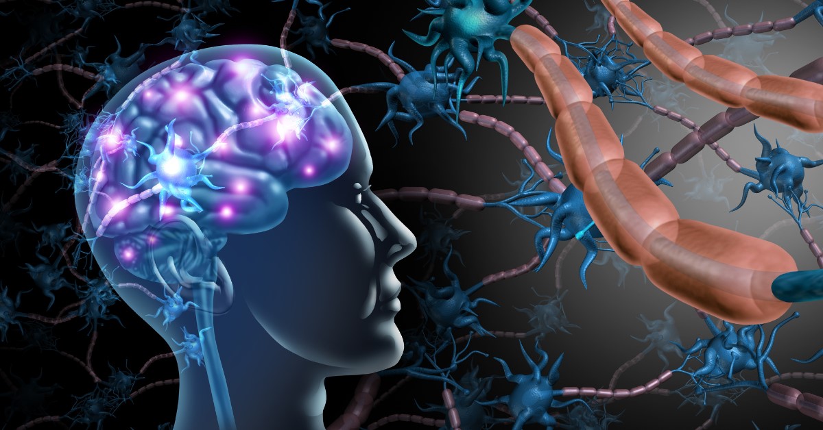 Gut-Brain Connection: How Brain Fog and Mood Can Begin in the Gut